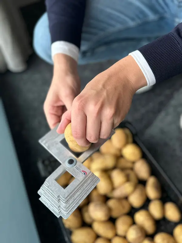 aardappel expert